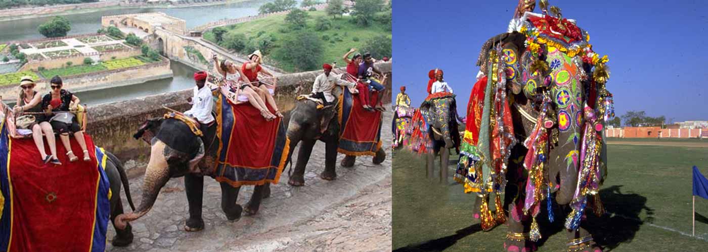 Elephant Ride in Jaipur