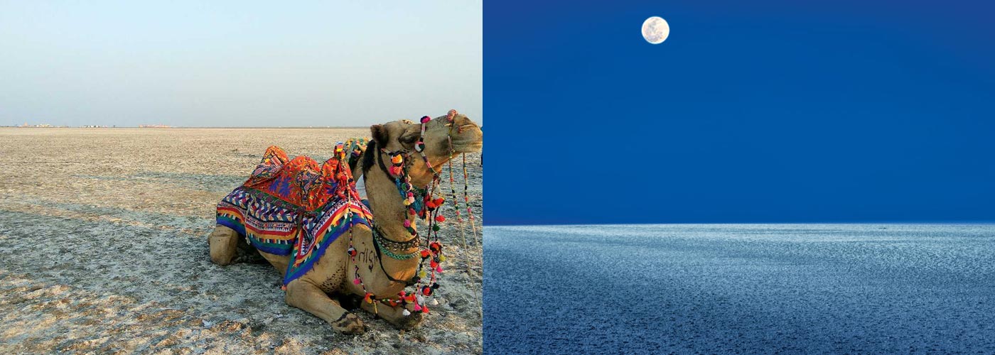 Great Rann of Kutch