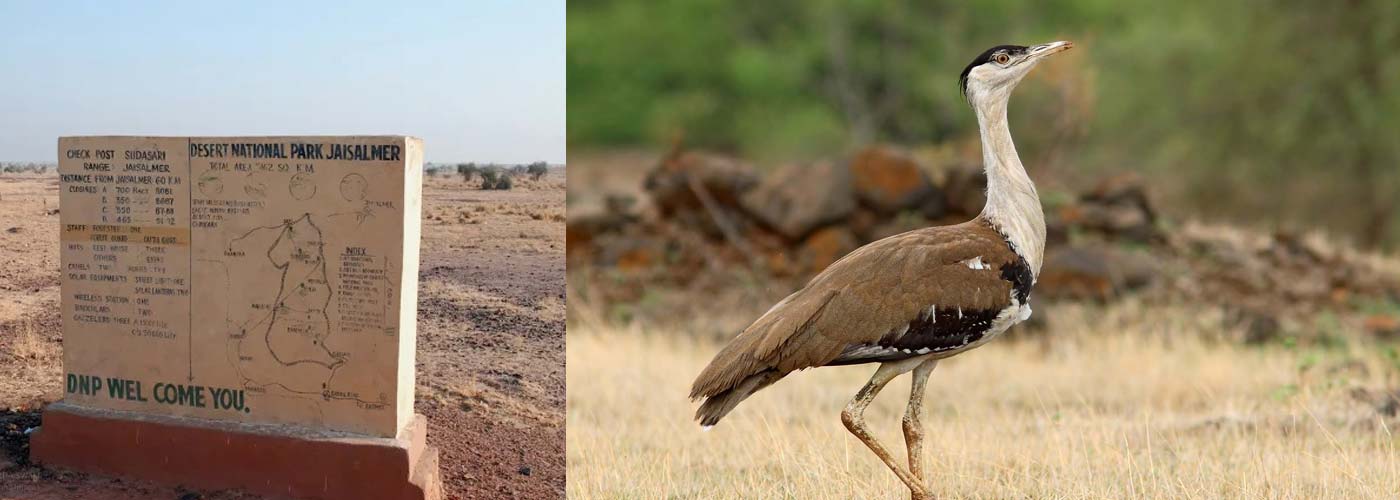 Desert National Park, Jaisalmer