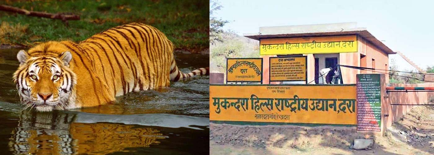 Mukundra Hills Tiger Reserve