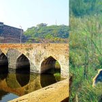 Bharatpur Birding Tour Package from Delhi