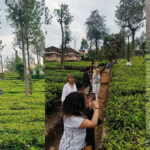 (10 Days / 9 Nights) Book Assam Packages From Delhi at Best Price