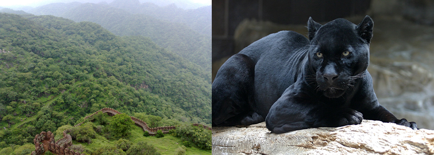 Kumbhalgarh Wildlife Sanctuary