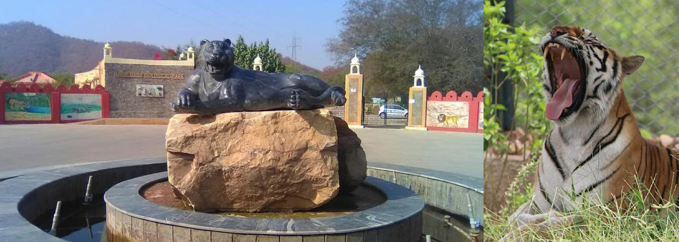 Nahargarh Biological Park Jaipur