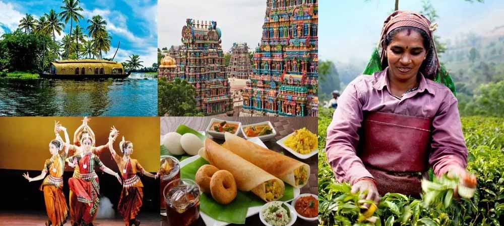 Best of North & South India