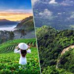 Kodaikanal Munnar Special Honeymoon Package (5 NIGHTS | 6 DAYS)