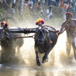 Karnataka Tour Packages at Best Prices – Exclusive Deals (4N/5D)