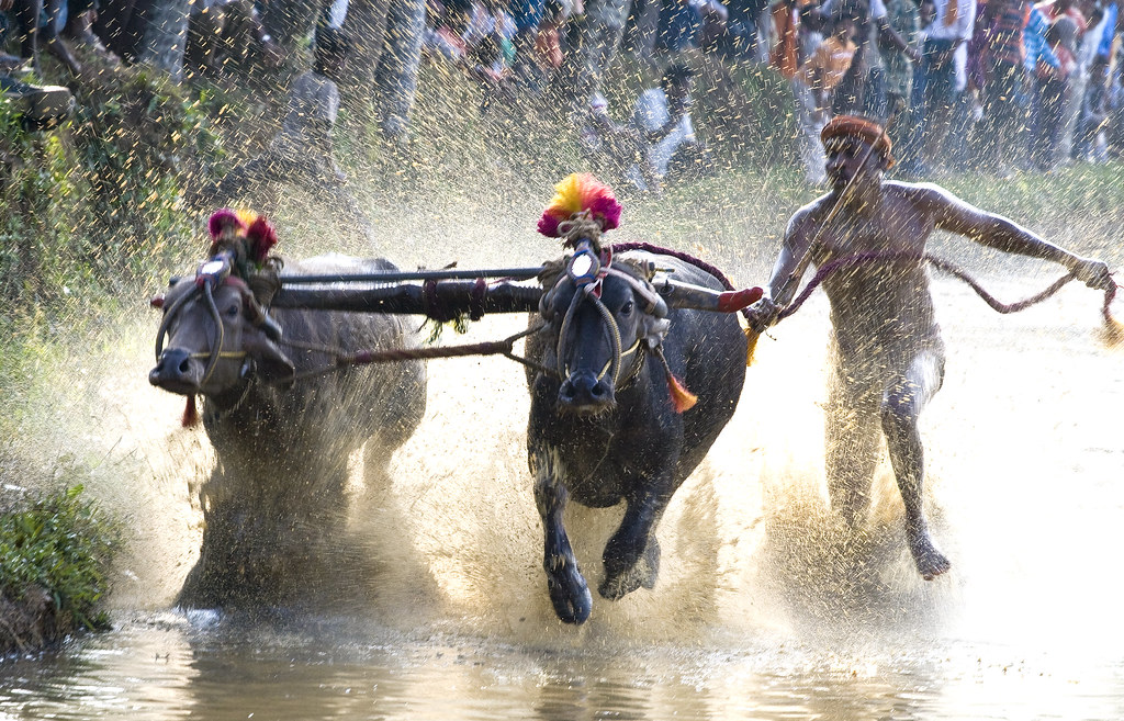 Golden Triangle of Karnataka with Temples of Tamilnadu ( 11 Nights - 12 Days )