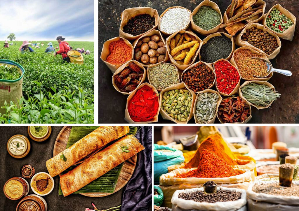 Best of Kerala with Spice Tour (5 Nights / 6 Days)