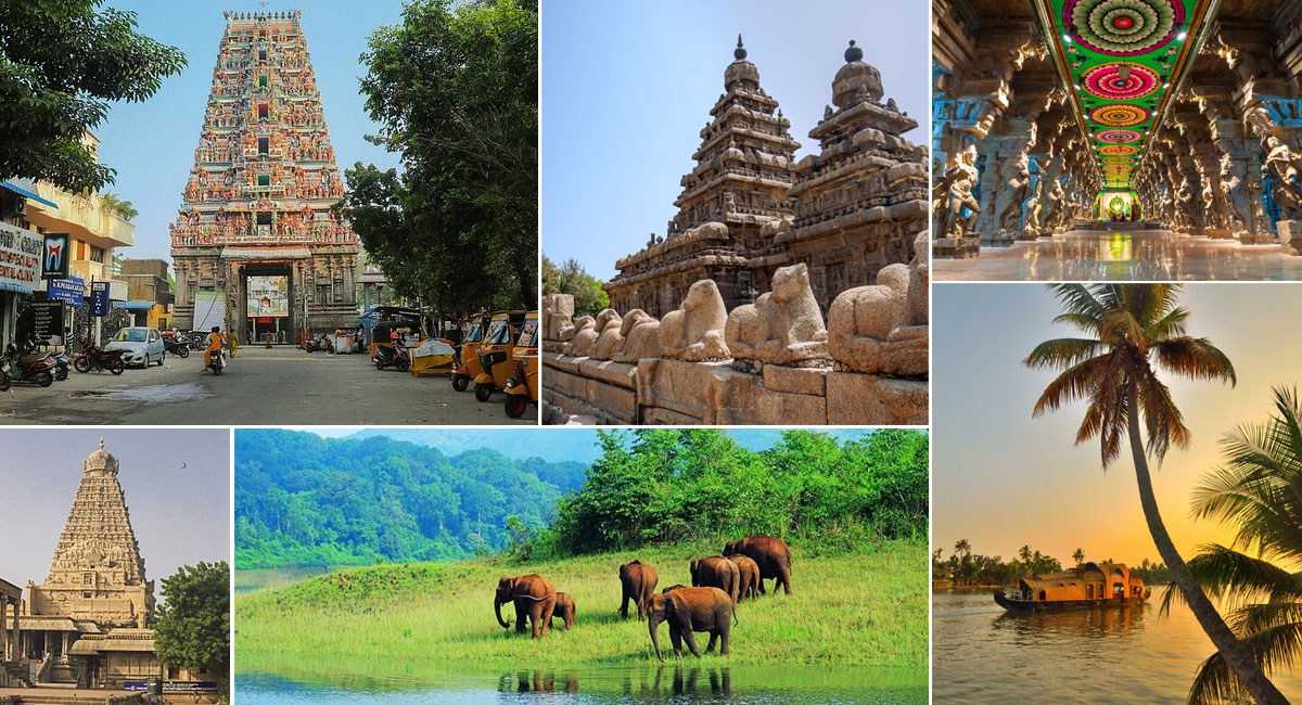 South India Tour Packages: Best South India Tours for Family (11 nights / 12 days)