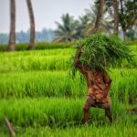 SOUTH INDIA WITH KERALA TOUR PACKAGES (09 Nights / 10 Days)